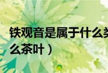 铁观音是属于什么类型的茶（铁观音是属于什么茶叶）
