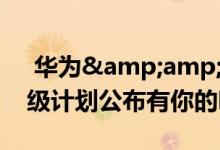  华为&amp;荣耀33款产品EMUI10升级计划公布有你的吗 