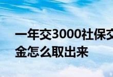 一年交3000社保交15年60能领多少钱 养老金怎么取出来 