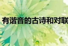 有谐音的古诗和对联（有谐音的古诗是什么）