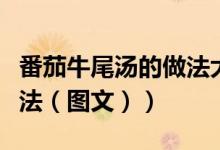 番茄牛尾汤的做法大全家常（番茄牛尾汤的做法（图文））