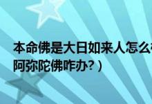 本命佛是大日如来人怎么样（本命佛买错了大日如来买成了阿弥陀佛咋办?）