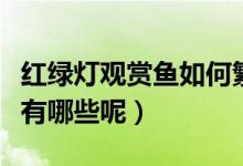 红绿灯观赏鱼如何繁殖的（红绿灯鱼繁殖特点有哪些呢）