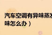汽车空调有异味蒸发箱要洗吗（汽车空调有异味怎么办）