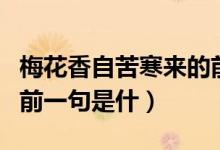 梅花香自苦寒来的前一句（梅花香自苦寒来的前一句是什）