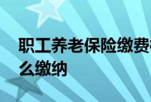 职工养老保险缴费档次哪个合适 养老保险怎么缴纳 