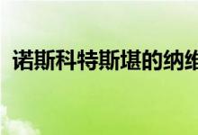  诺斯科特斯堪的纳维亚房屋出售给欧洲商人 