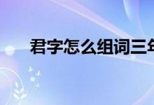 君字怎么组词三年级（君字怎么组词）