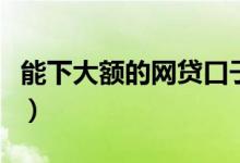 能下大额的网贷口子（好下款的大额网贷口子）