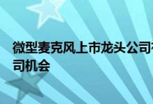 微型麦克风上市龙头公司有哪些把握微型麦克风概念上市公司机会