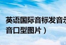英语国际音标发音示范（最新国际英语音标发音口型图片）
