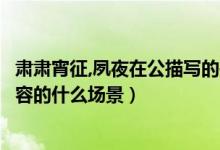 肃肃宵征,夙夜在公描写的是什么场景（肃肃宵征夙夜在公形容的什么场景）
