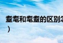 耋耄和耄耋的区别怎么读（耋耄和耄耋的区别）