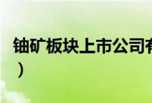 铀矿板块上市公司有哪些（铀矿股票名单一览）