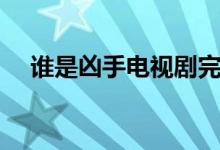 谁是凶手电视剧完整版免费观看（谁是）