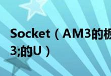 Socket（AM3的板子能插Socket AM3+的U）