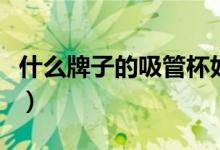 什么牌子的吸管杯好用（什么牌子的吸管杯好）