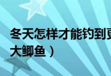 冬天怎样才能钓到更多鱼（冬天怎样才能钓到大鲫鱼）