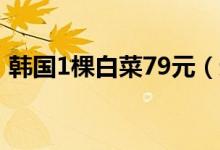 韩国1棵白菜79元（进口泡菜九成来自中国）