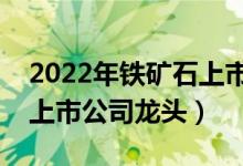 2022年铁矿石上市公司有哪些（相关铁矿石上市公司龙头）