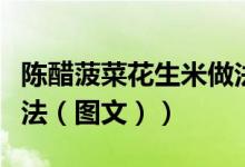 陈醋菠菜花生米做法窍门（陈醋菠菜花生米做法（图文））