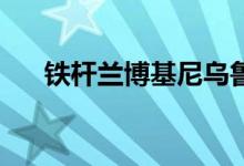  铁杆兰博基尼乌鲁斯拥有超过800马力 