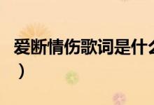 爱断情伤歌词是什么意思（爱断情伤歌词介绍）