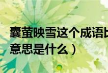 囊萤映雪这个成语比喻什么（成语囊萤映雪的意思是什么）