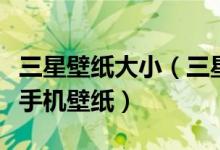 三星壁纸大小（三星S5150应该用什么尺寸的手机壁纸）