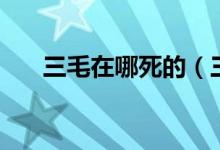 三毛在哪死的（三毛究竟是怎么死的）