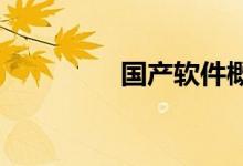 国产软件概念股震荡走强