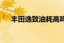  丰田逸致油耗高吗真实车主是这样说的 
