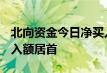北向资金今日净买入29.34亿元伊利股份净买入额居首