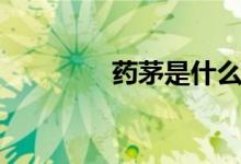 药茅是什么 药茅是什么股 