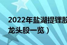 2022年盐湖提锂股票概念有那些（盐湖提锂龙头股一览）