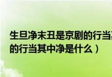 生旦净末丑是京剧的行当其中净指的是（生旦净末丑是京剧的行当其中净是什么）