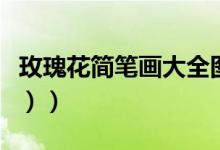 玫瑰花简笔画大全图片（玫瑰花简笔画（图文））