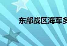 东部战区海军多艘舰艇实战化演训