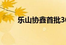 乐山协鑫首批30吨颗粒硅产品发车