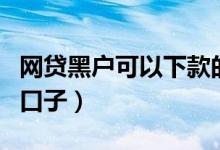 网贷黑户可以下款的口子（网黑网贷能下款的口子）
