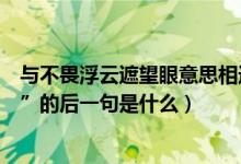 与不畏浮云遮望眼意思相近的诗句（古诗“不畏浮云遮望眼”的后一句是什么）