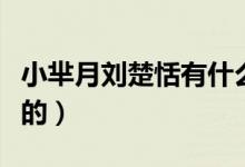 小芈月刘楚恬有什么家庭背景（父母是干什么的）