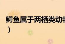 鳄鱼属于两栖类动物吗（鳄鱼属于两栖动物吗）