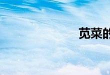  苋菜的根很臭吗 