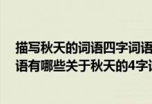 描写秋天的词语四字词语带意思和造句（关于秋天的4字词语有哪些关于秋天的4字词语有哪些）