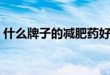 什么牌子的减肥药好（目前什么减肥药最好）
