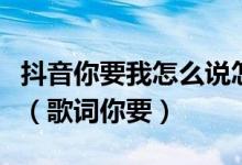 抖音你要我怎么说怎么做你才能爱我是什么歌（歌词你要）