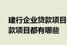 建行企业贷款项目都有哪些内容 建行企业贷款项目都有哪些