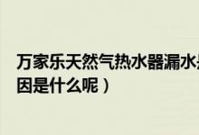 万家乐天然气热水器漏水是什么原因（万家乐热水器漏水原因是什么呢）
