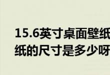 15.6英寸桌面壁纸尺寸（15.6寸电脑桌面壁纸的尺寸是多少呀）
